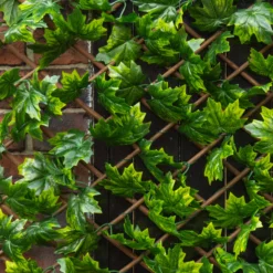Apollo Maple Leaf Willow Trellis Panel (W)200cm X (H)100cm -Garden Seed Store apollo maple leaf willow trellis panel w 200cm x h 100cm5037653779309 02i bq
