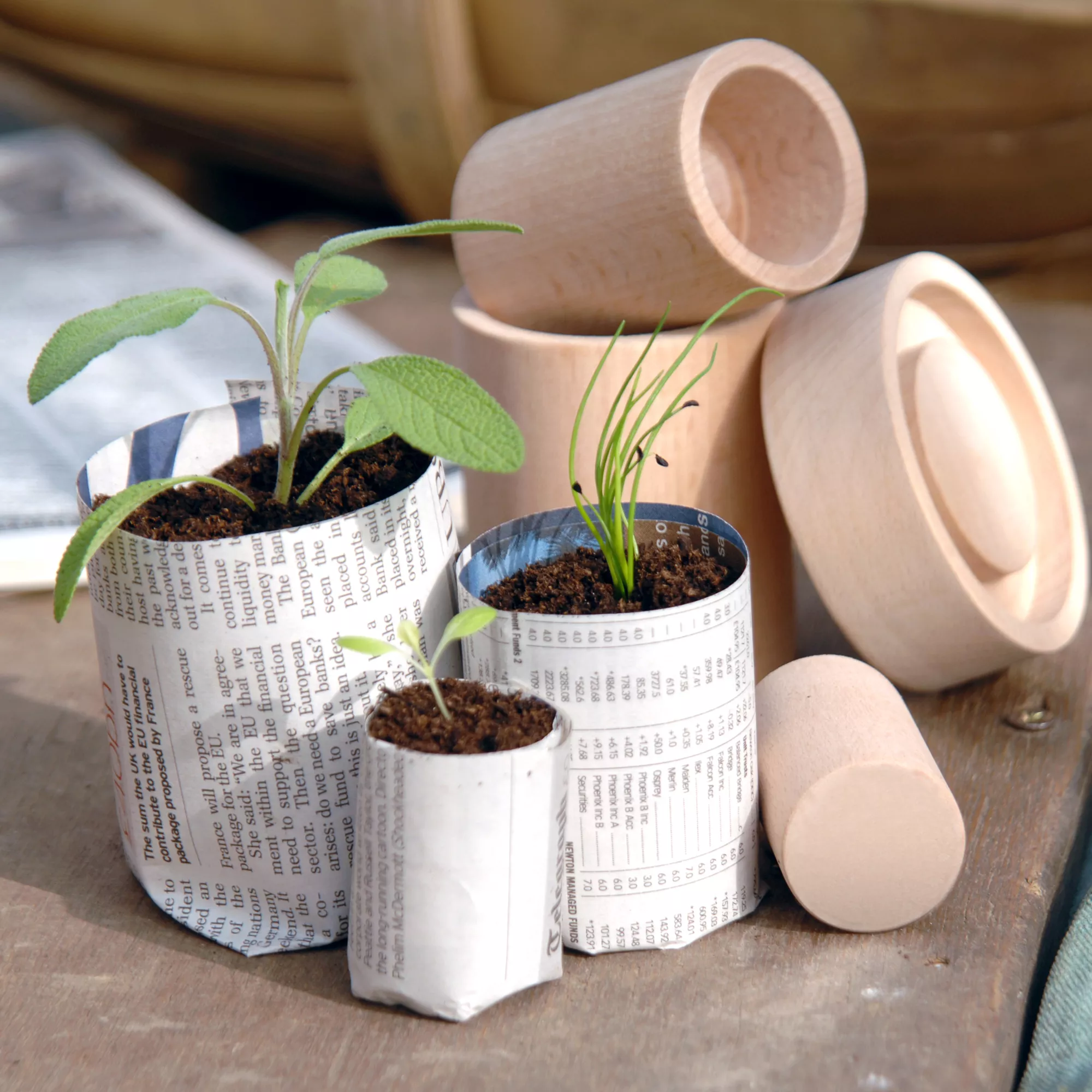 Burgon & Ball Eco Pot Maker Kit 3 Burgon & Ball Eco Pot Maker Kit - Image 3