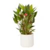 Flamingo Flower White Crackle Ceramic Decorative Pot