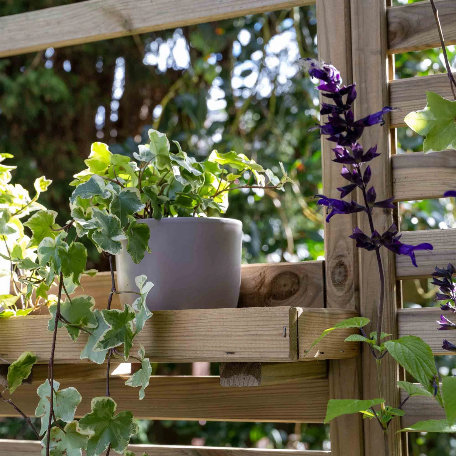 Forest Garden Vertical Garden Planter 5 Forest Garden Vertical Garden Planter - Image 5