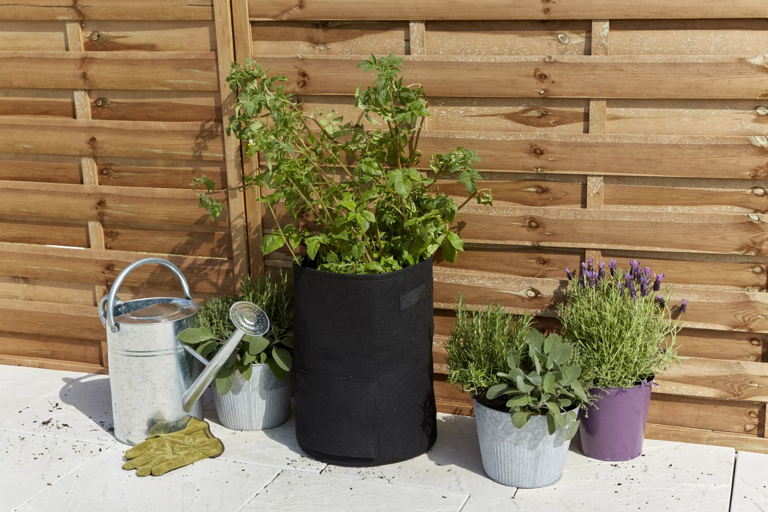 Verve Black Round Planter 2 Verve Black Round Planter - Image 2