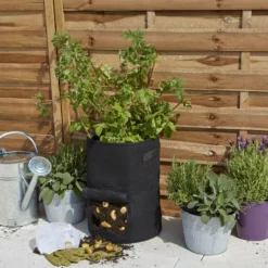 Verve Black Round Planter 6 Verve Black Round Planter -Garden Seed Store verve black round planter5059340329642 02i scaled