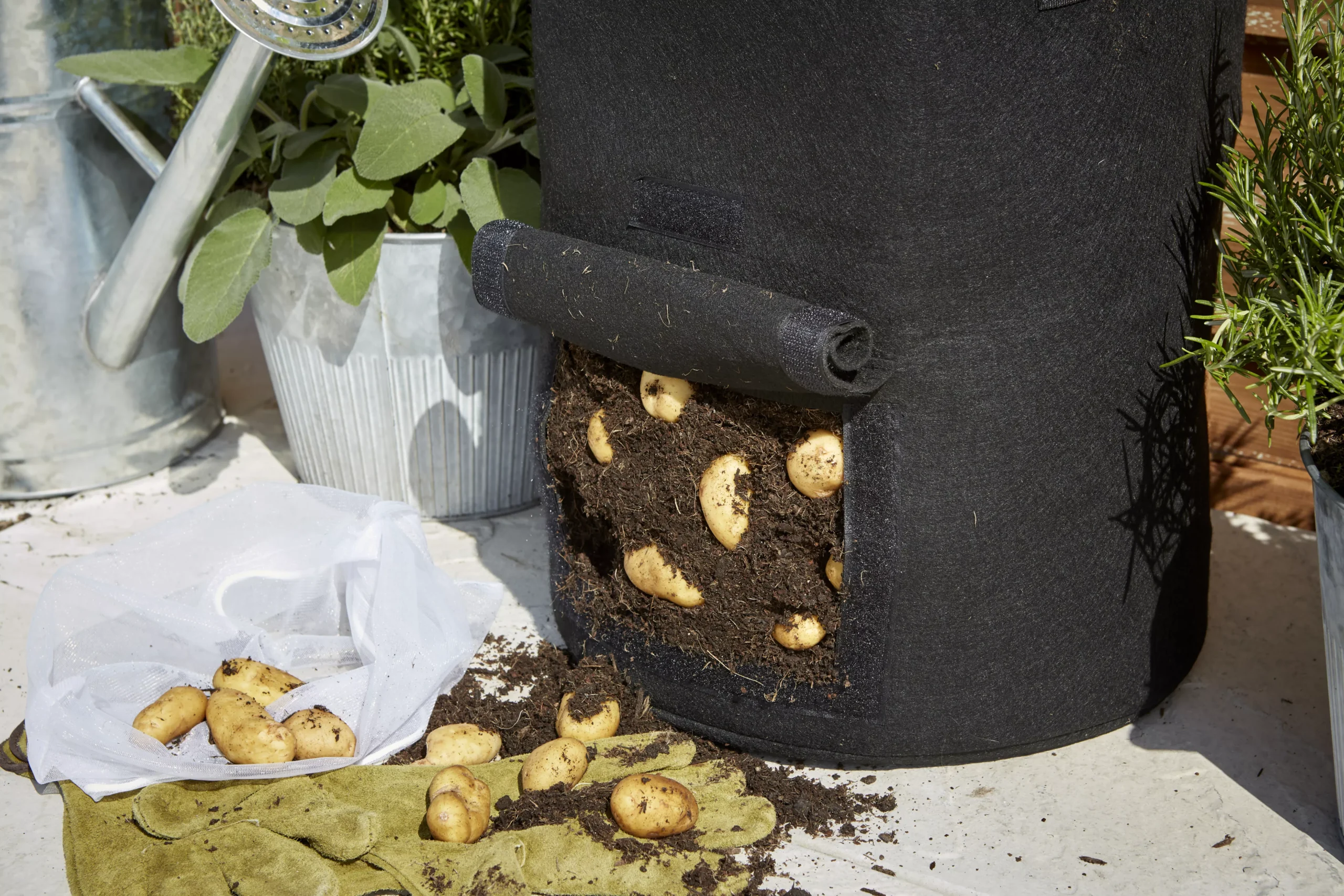 Verve Black Round Planter 4 Verve Black Round Planter - Image 4