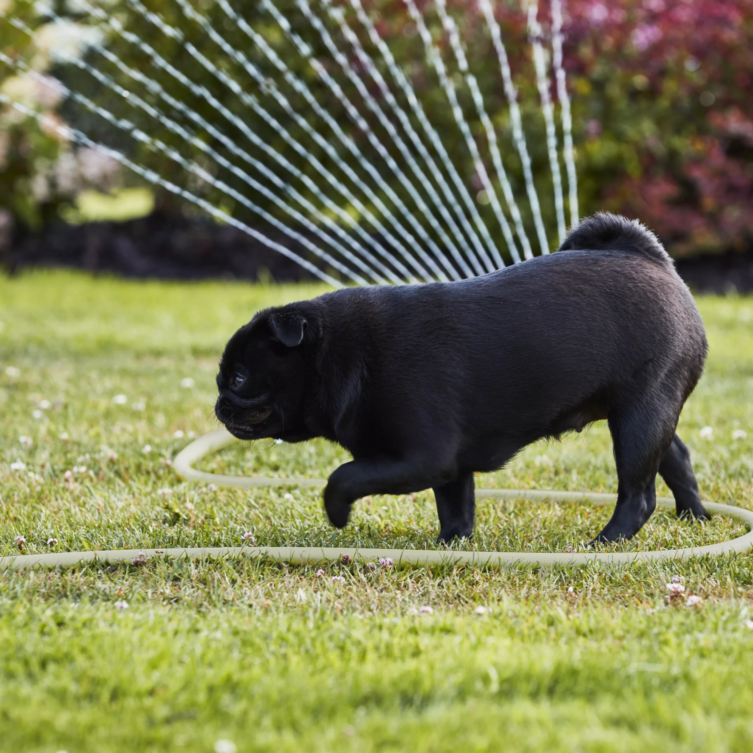 Verve Oscillating Fan Sprinkler 9 Verve Oscillating Fan Sprinkler - Image 9