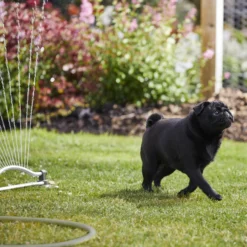 Verve Oscillating Fan Sprinkler 19 Verve Oscillating Fan Sprinkler -Garden Seed Store verve oscillating fan sprinkler5059340251240 08i scaled