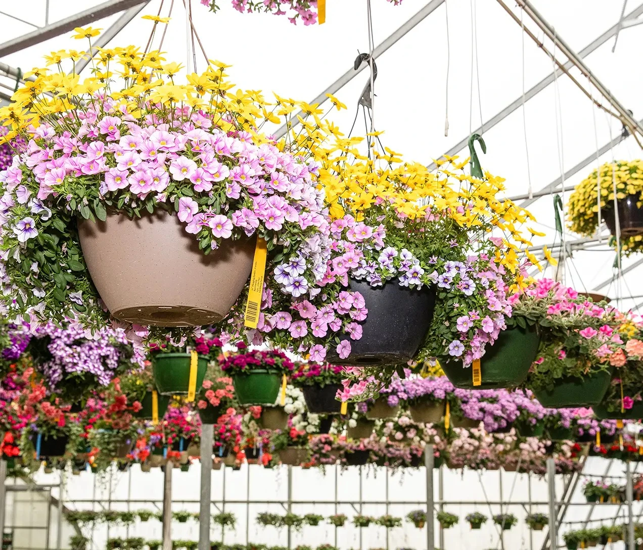 Garden Seed Store -Garden Seed Store tai xuong 82