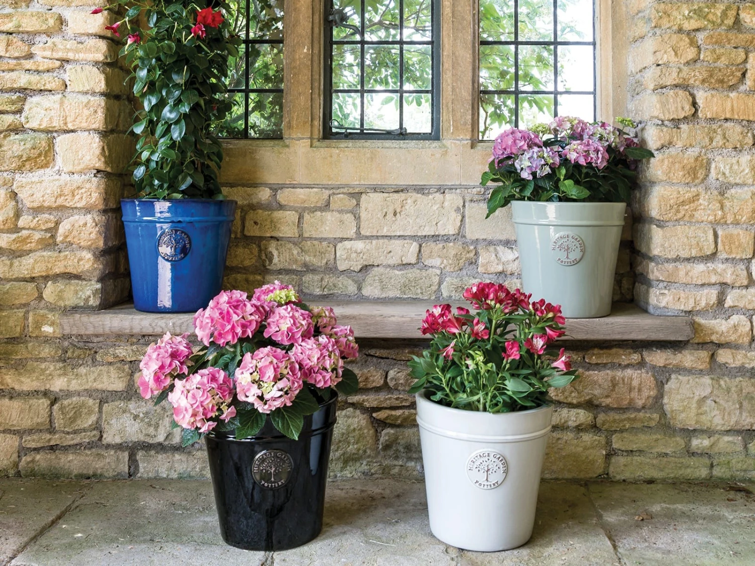 Garden Seed Store 38 Garden Seed Store -Garden Seed Store tai xuong 83